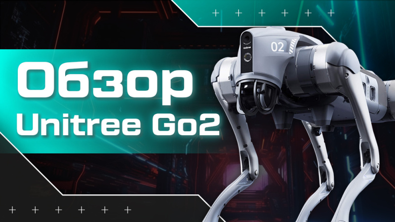 Обзор собаки-робота Unitree Go2