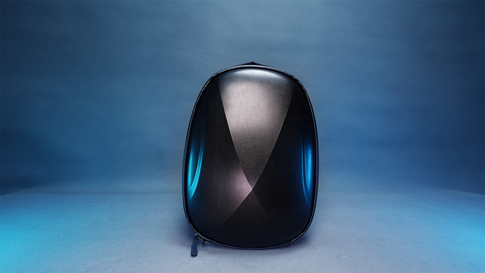 Zyber case Pico 4 Zyber case Pico 4