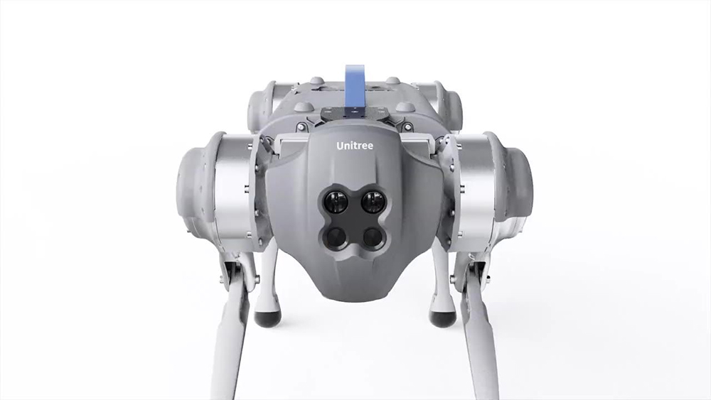 Робо-собака - 4 камеры 01.jpg