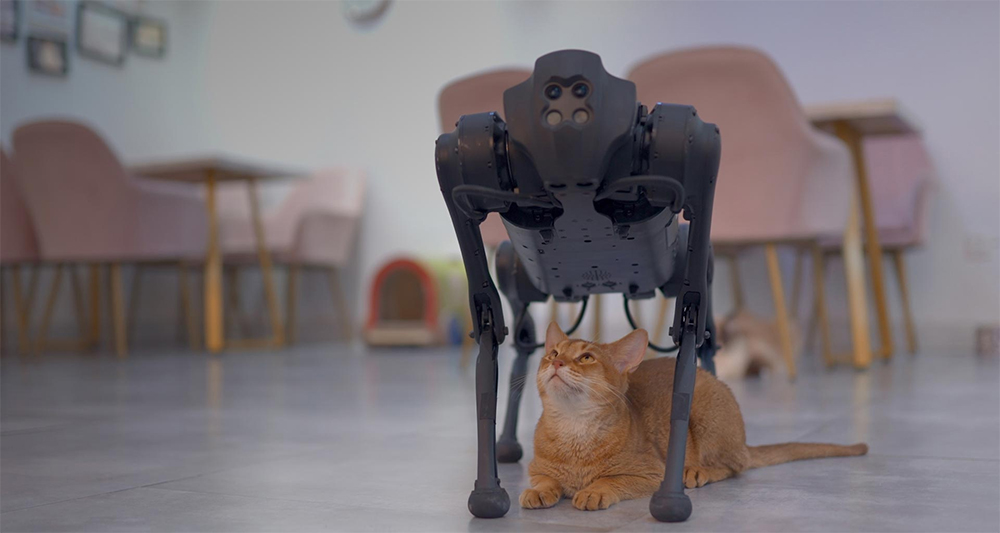 Робособака с котом - фото 03.jpg
