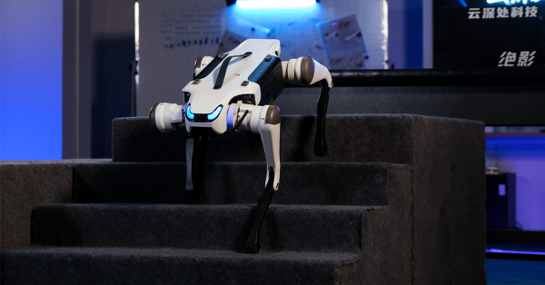 Бионический робот собака DEEP Robotics Lite 3