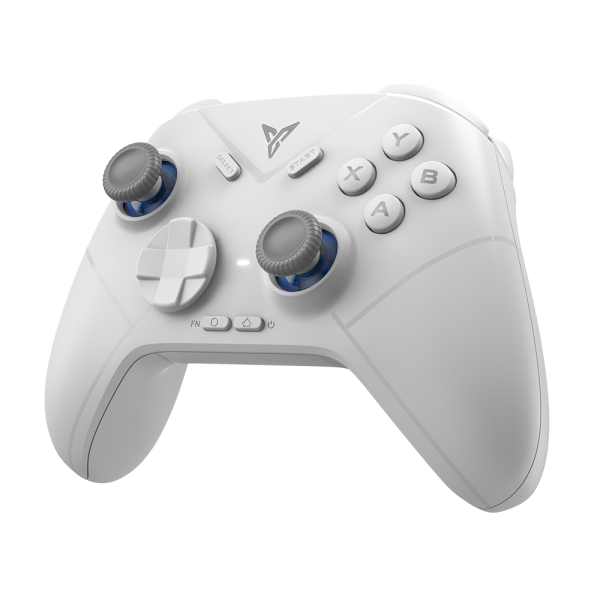 Геймпад беспроводной FLYDIGI Direwolf 3, серый для ПК / Android / Switch / IOS