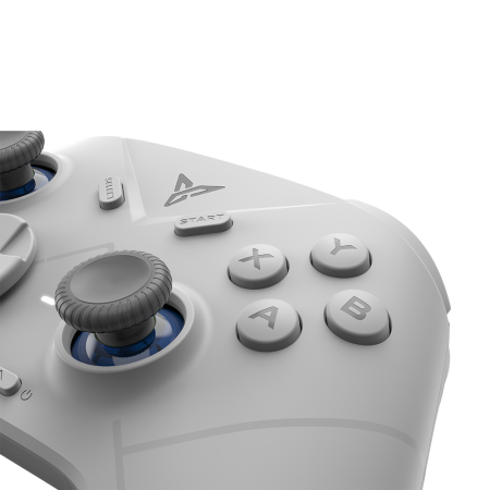 Геймпад беспроводной FLYDIGI Direwolf 3, серый для ПК / Android / Switch / IOS