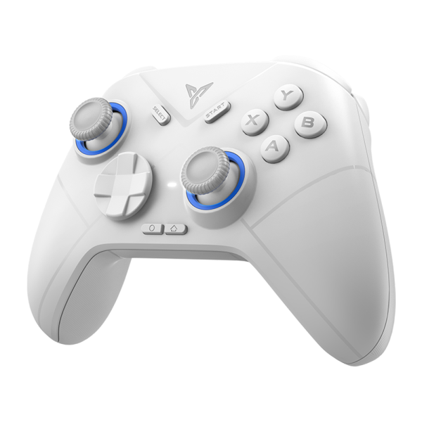 Геймпад беспроводной FLYDIGI Direwolf 2, серый для ПК / Android / Switch / IOS